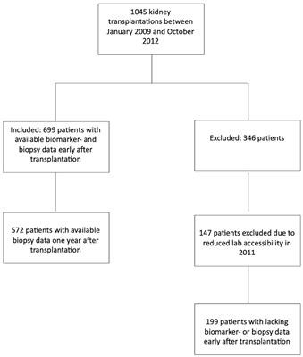 Systemic inflammation early after kidney transplantation is associated with long-term graft loss: a cohort study